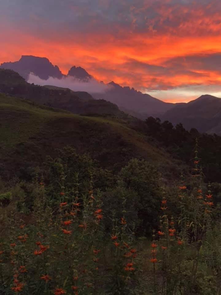 BergviewMisty Peaks Cloudlands别墅 外观 照片